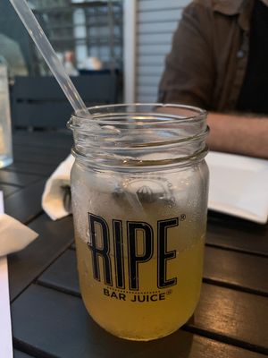 Fresh kombucha HEAVEN x at The Purple Elephant in Northport