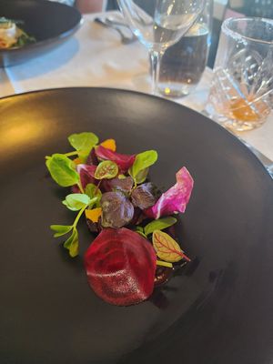 Beetroot, radish, grapefruit salad at Miss Amelie in Wodonga