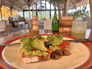Avo toast with added shroomies  at Habitat Village in Pecatu