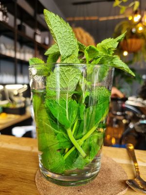 Frischer Pfefferminztee at VRÜH - All Day Breakfast in Dortmund