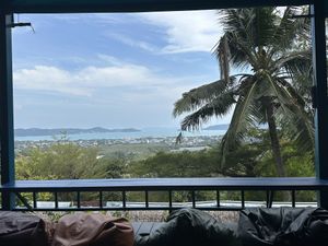   at The Dreaming Tree in Phuket