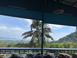   at The Dreaming Tree in Phuket