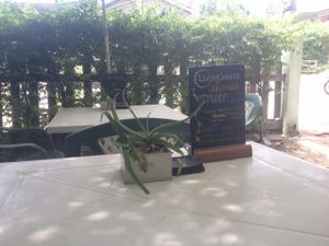 Interior at Living Juices in Koh Tao