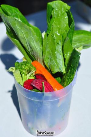 Up to 1 kg of veggies in a single juice! at Living Juices in Koh Tao