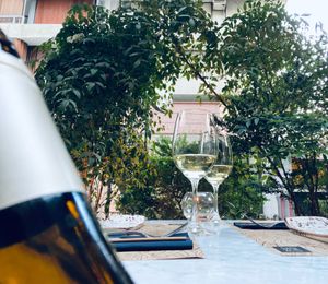 Good Wine, gewutztaraniner  at Piso Uno in Santiago