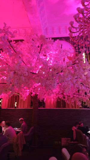  at Shanghai 1814 in Southampton