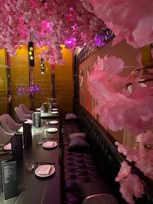   at Shanghai 1814 in Southampton