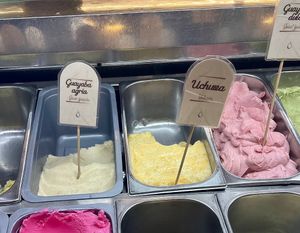   at Gelateria Paradiso in Cartagena