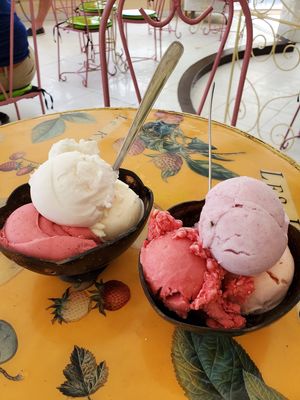 Vegan flavors at Gelateria Paradiso in Cartagena