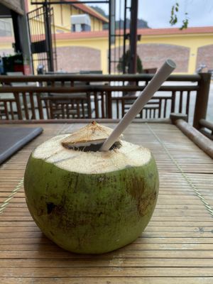 Fresh cold coconut. Always delicious!  at Tam Coc Ngo Dong Homestay and Vegan Restaurant in Ninh Binh