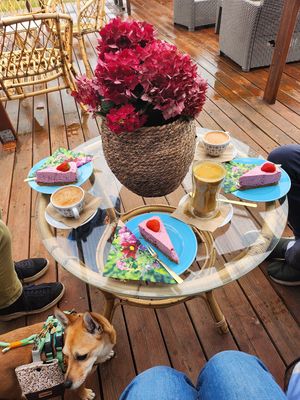  at The Break Cafe in Thisted