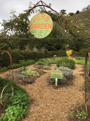 Gardens surrounding the Earthbound Farm Stand and Cafe at Earthbound Farm Stand and Cafe in Carmel