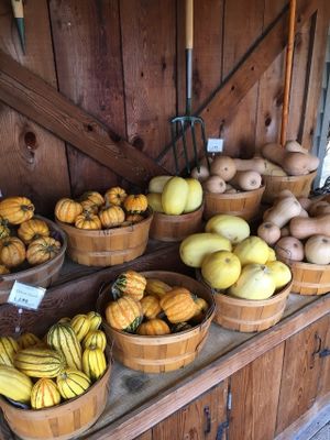 Produce available at the Earthbound Farm Stand and Cafe at Earthbound Farm Stand and Cafe in Carmel