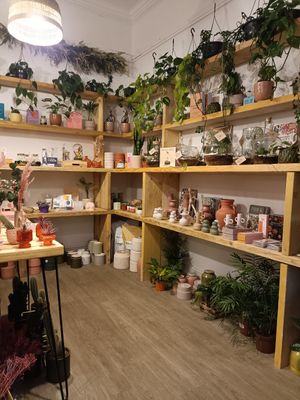  at Disposition Coffee in Edinburgh