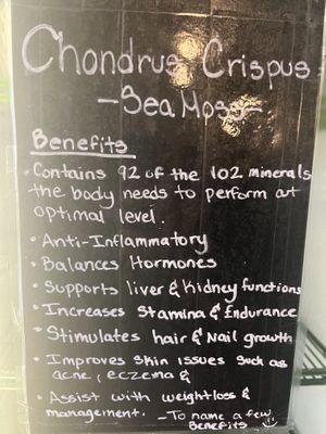 Sea Moss Educational Facts  at Living Electric LLC in Allentown