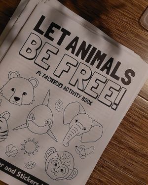  at Living Electric LLC in Allentown