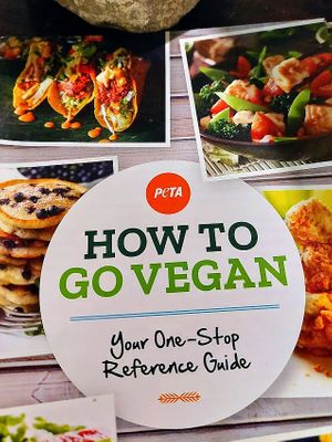  at Living Electric LLC in Allentown