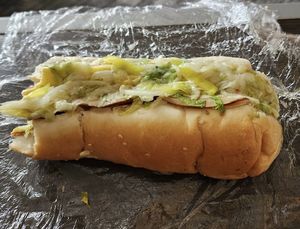 Italian sub   at Radical Plants in St Clair Shores