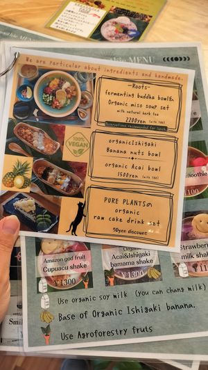 Menu at Neo Earth Cafe Smile Smoothie in Ishigaki