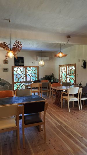 Interior at Neo Earth Cafe Smile Smoothie in Ishigaki