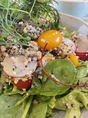 Vegan salad  at Little Ginger in Waterloo