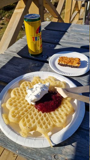 Waffle with raspberry jam and vegan cream, and a tosca pastry at Andersborgs Våffelstuga in Taenndalen
