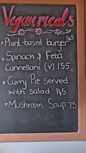 Menu on 9-05-2025. Contains 3 vegan and 1 vegetarian (v) dish at Mobys in Plettenberg Bay