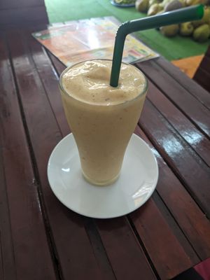 Mixed fruit shake at Kaun Im Yok Vegan Restaurant - H&H in Vang Vieng