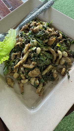 Larb mushrooms #Veganuary at Kaun Im Yok Vegan Restaurant - H&H in Vang Vieng