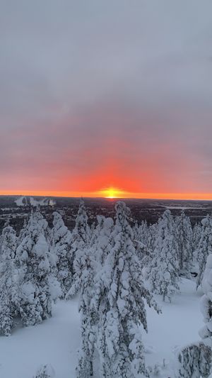   at Rakas in Rovaniemi