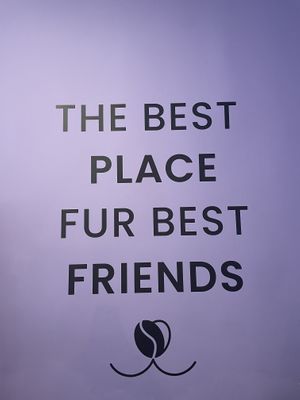   at Woof & Me in Amsterdam