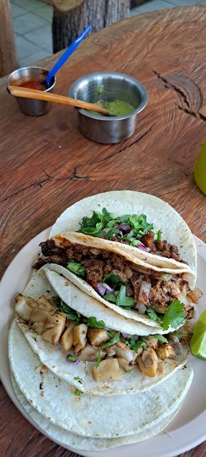  at VeganTaco in Guadalajara