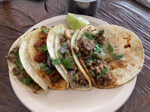 One each of the tacos on offer   at VeganTaco in Guadalajara