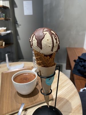 Coconut ice cream and hot chocolate ice cream (not sweet)  at sari sari store サリサリストア in Osaka