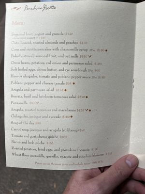   at Pandaria Rosetta in Mexico City