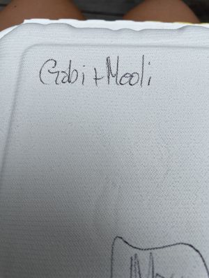 My box :) at Parantha Alley - Food Stall in Brooklyn