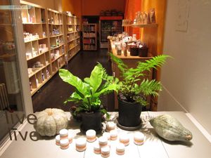 Outside view of our store. One of our popular windows curated by Gregory Todd Allen at live live and organic in New York City