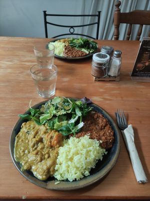 Daily vegan menu at Revite Café in Motueka
