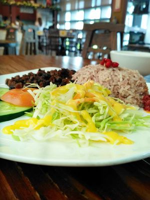 Minced Meat Rice (Vegetarian) at $5 at Water Drop Teahouse 滴水坊 in Northeast Singapore