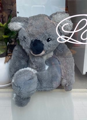 Koala stuffy at the entrancee  at Lucyd - 루시드 in Seoul