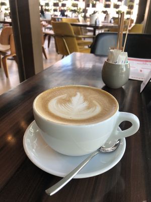 Oat milk cappuccino   at LDC Kitchen+Coffee - One JLT in Dubai