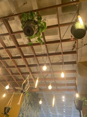   at Madhouse Café in Boston