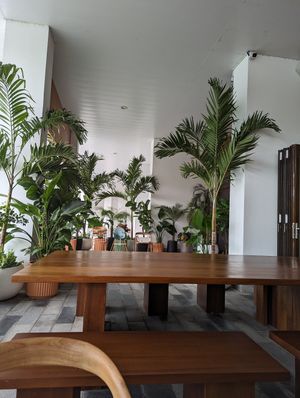 Outdoors  #Veganuary at New Earth Cafe in Dubai