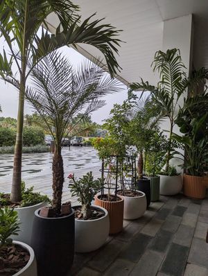 Outdoors  #Veganuary at New Earth Cafe in Dubai