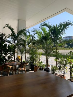  at New Earth Cafe in Dubai