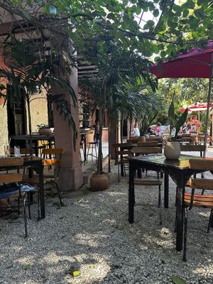 Garden #Veganuary at Selva Coffee Garden in Merida