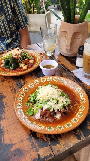 Stuffed Chilli with Tofu & Flautas Enchiladas at Selva Coffee Garden in Merida