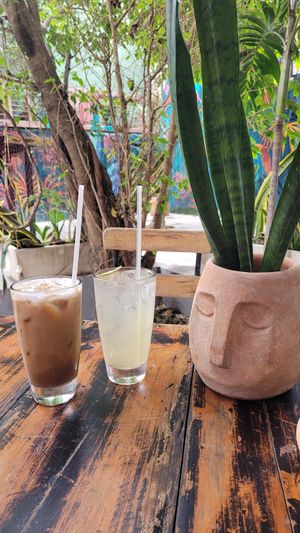 Coconut Coffee & Limonada at Selva Coffee Garden in Merida