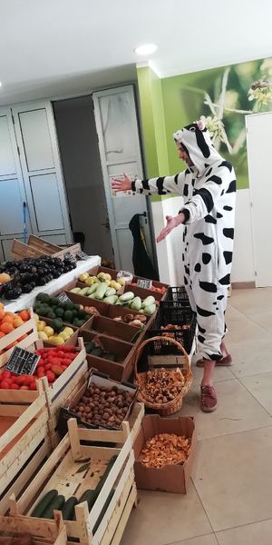 la vaca de ananda recolectando los productos en el mercadillo  #Veganuary at Ananda in Tenerife