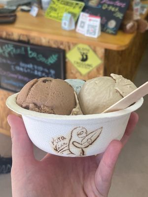 Delicious Ice cream   at Pura Vida Plant Based Ice Cream Shop in Miyazaki